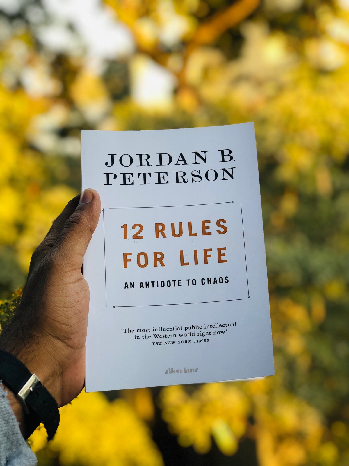 12 Rules For Life: An Antidote To Chaos - Bookieleaks